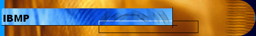  IBMP 